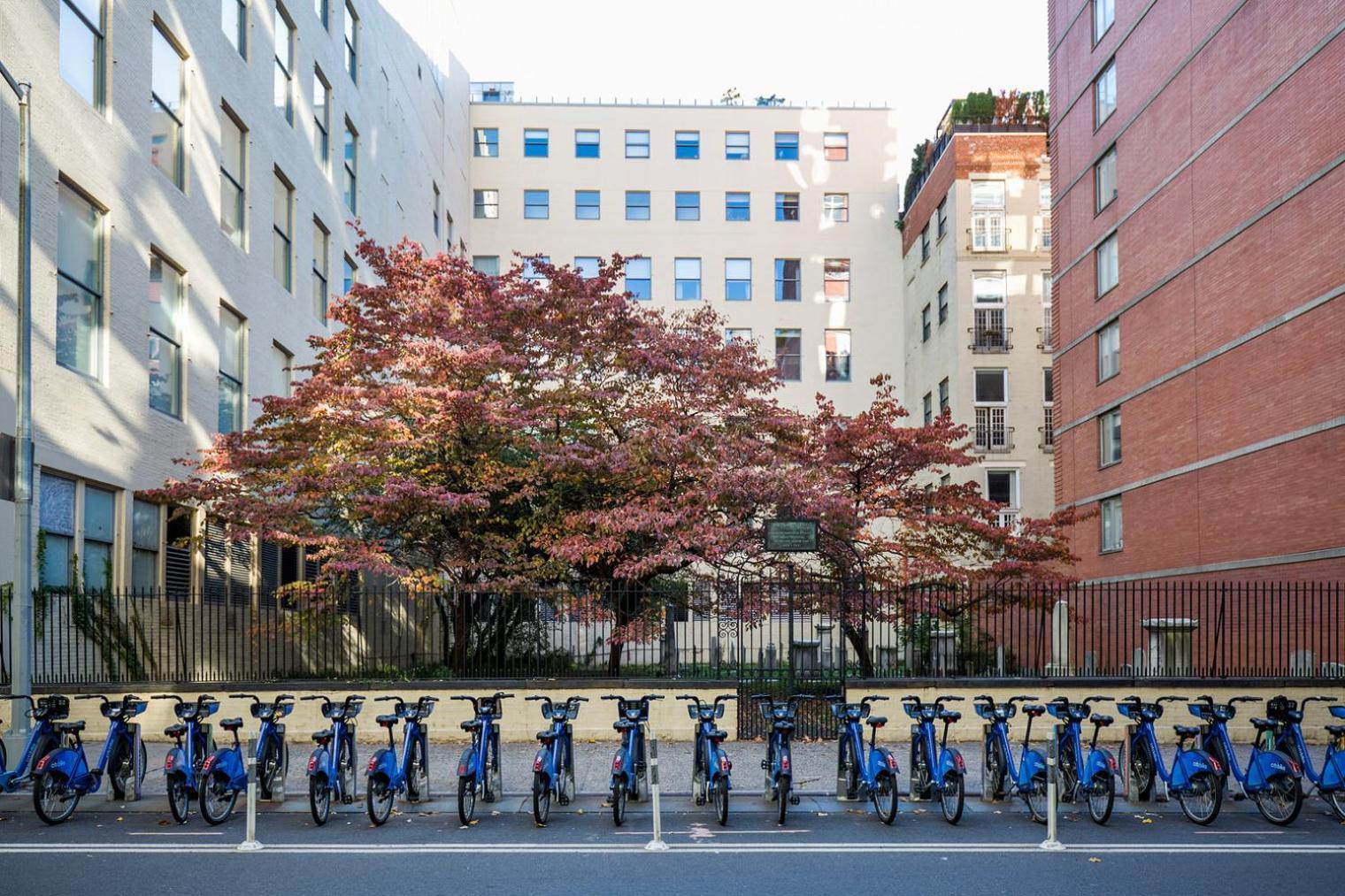 Chelsea 1br W Doorman Gym Nr High Line Nyc-1008 Nueva York